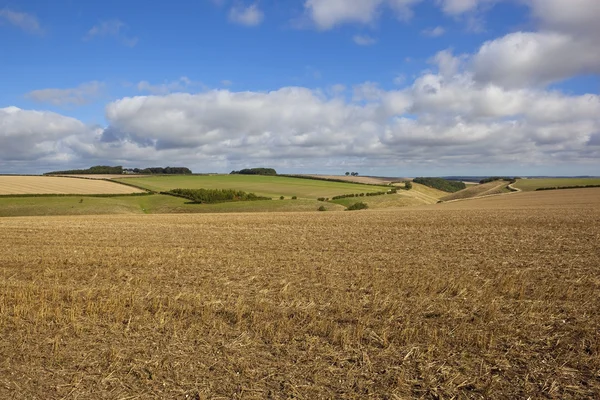 Paysage cultivé pittoresque — Photo