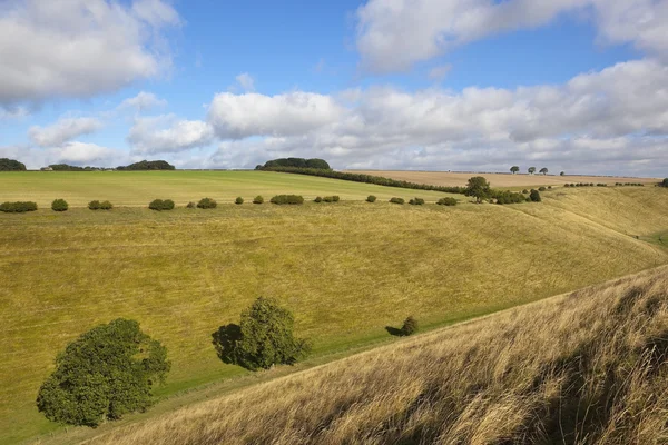 Йоркширський wolds пасовища — стокове фото