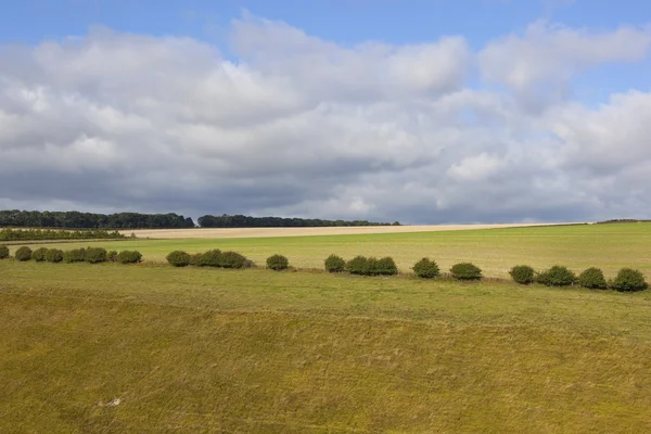 Vallée du cheval — Photo