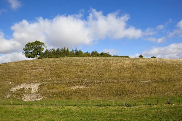 Hillside saç ekimi — Stok fotoğraf