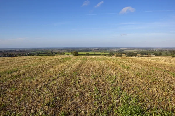 Yorkshire wolds vista — Stok fotoğraf