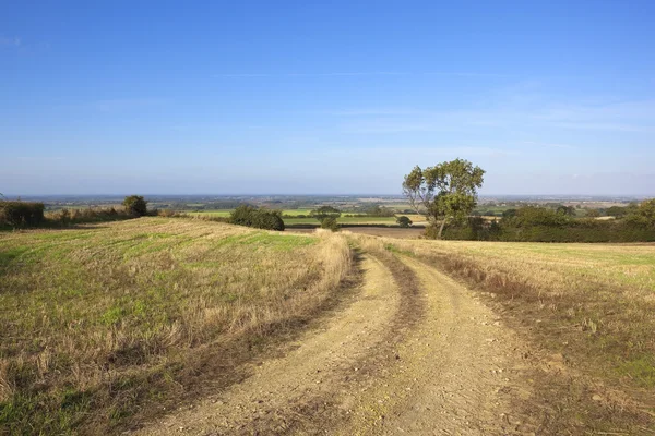 Stony farm track — Stock Photo, Image