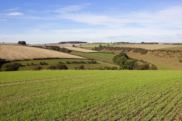 Yorkshire wolds agriculture — Stock Photo, Image