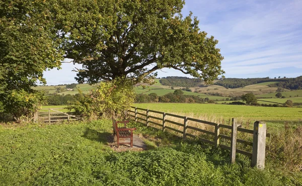 Seat with a view — Stock Photo, Image