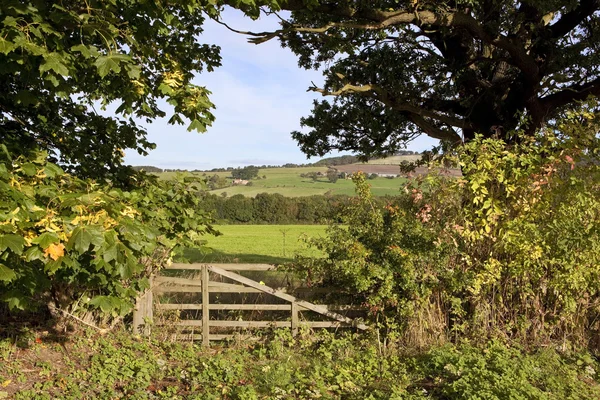 Autumn field gate — Stock Photo, Image