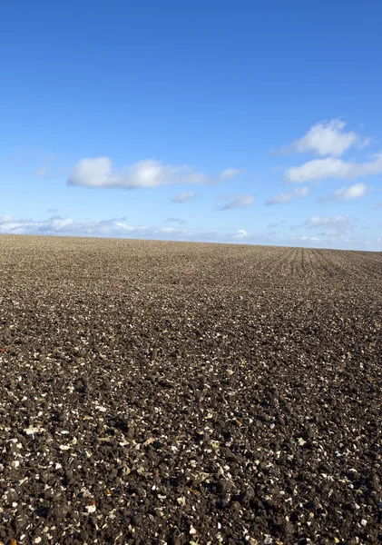 Chalky plowed field — Stock Photo, Image