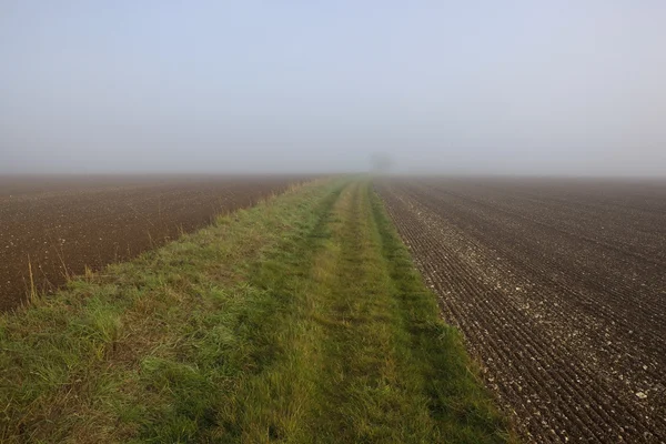 Foggy fields — Stock Photo, Image