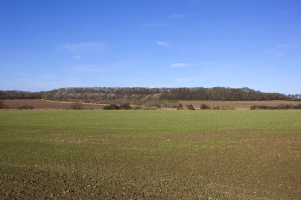 Landschaft von Yorkshire — Stockfoto