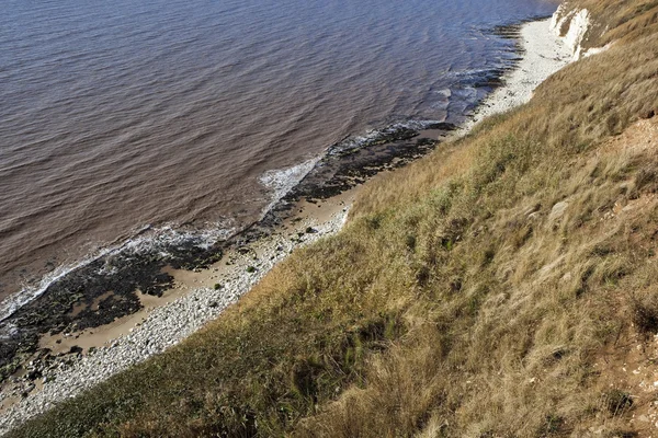 Coastal textures — Stock Photo, Image