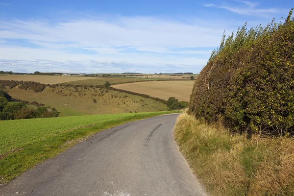 Scenic country road — Stock Photo, Image
