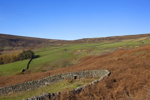 Farndale landscape — Stock Photo, Image