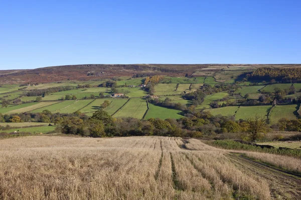 Autumnal english landscape — Stock Photo, Image