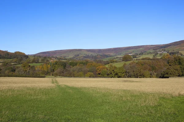 Moorlands in autumn — Stock Photo, Image