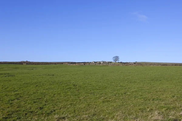 Gamla byggnader och torr stenmurar — Stockfoto