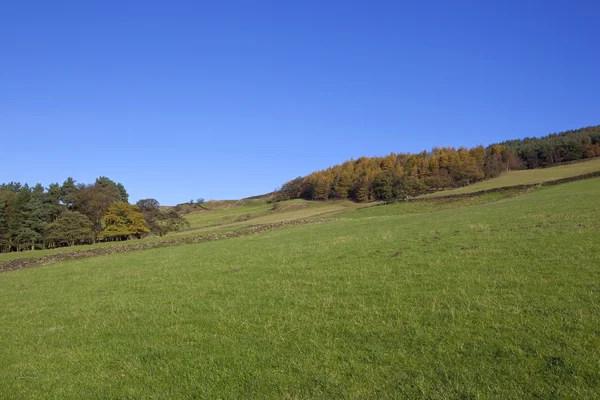 Autumn meadows and woodlands — Stock Photo, Image