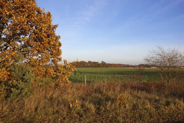 Paisaje de otoño —  Fotos de Stock