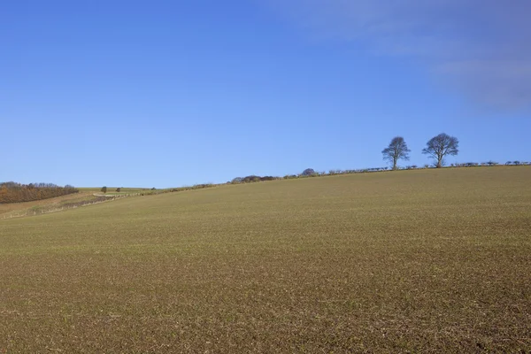 Yorkshire wolds landbouw — Stockfoto