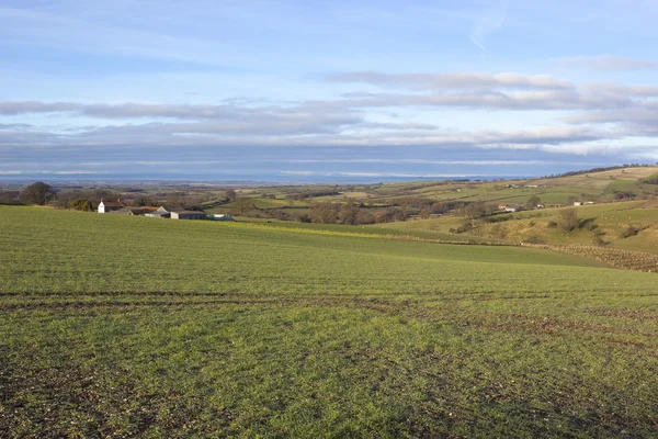 Yorkshire wolds oppdrett – stockfoto