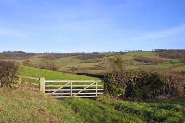 Platteland poort — Stockfoto