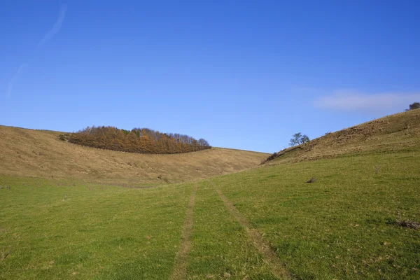 Autumnal valley — Stock Photo, Image