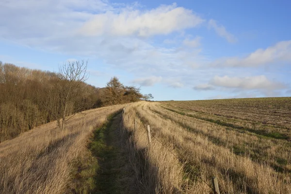 Country footpath — Stock Photo, Image