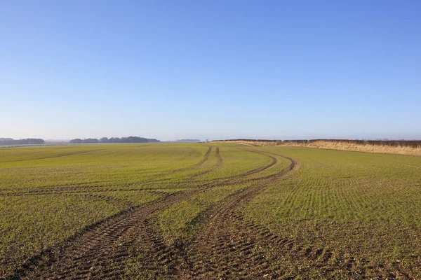 Pistes de tracteur — Photo