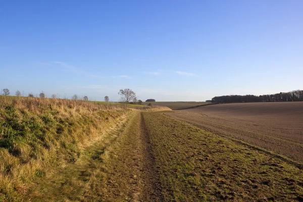 Rural bridleway — Stock Photo, Image