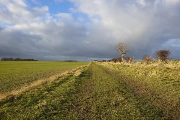 Dramatic skies over bridleway — Stock Photo, Image