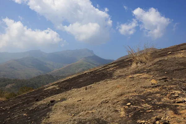 Collines nilgiri paysage — Photo