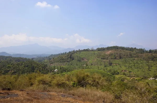 Wayanad hill country — Stock Photo, Image