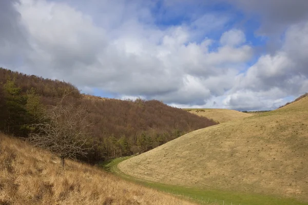 Yorkshire wolds hangsides — Stockfoto