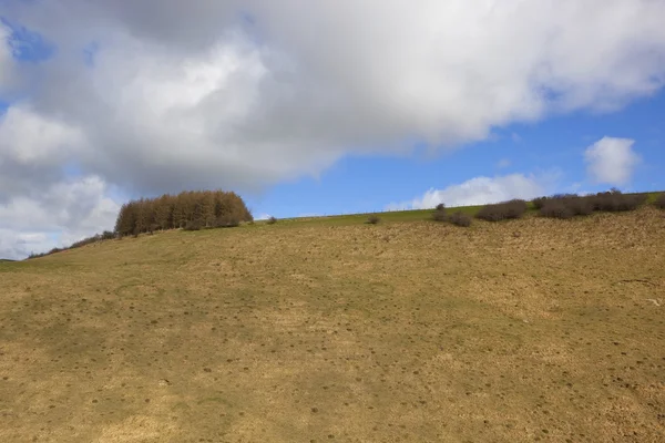 Spring hillsides — Stock Photo, Image