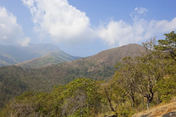 Nilgiri collines paysage karnataka — Photo