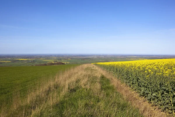 Vale of york landschaft — Stockfoto