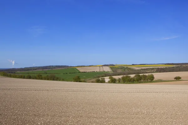 Yorkshire wolds agriculture — Stock Photo, Image
