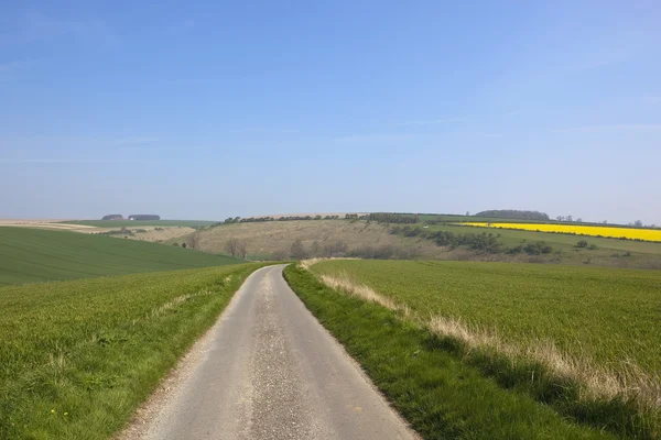 Ülkede yol burdale — Stok fotoğraf