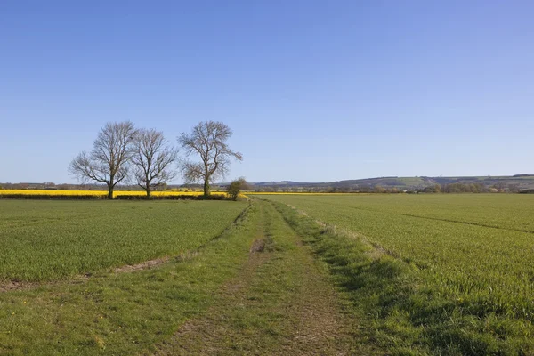 Landbouw yorkshire — Stockfoto