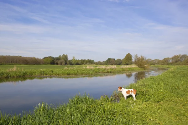 Springtime waterway — Stock Photo, Image