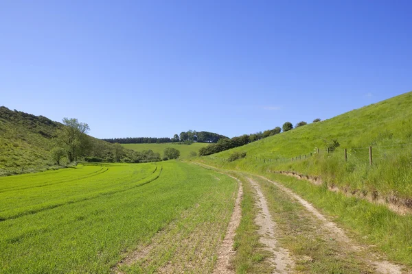 Landelijke boerderij track — Stockfoto