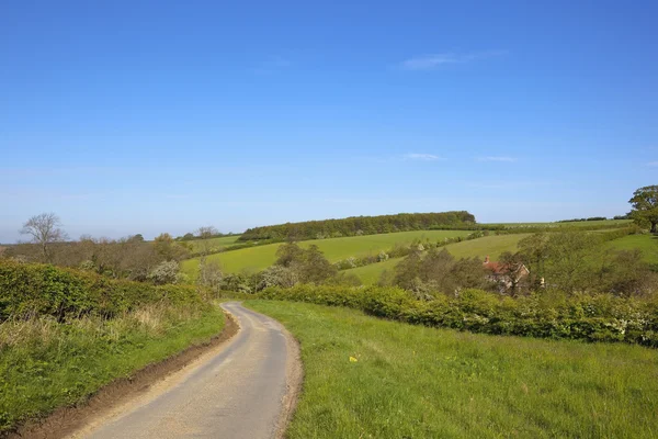 Engels platteland snelweg — Stockfoto