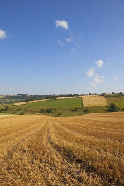 Harvest time scenery — Stock Photo, Image