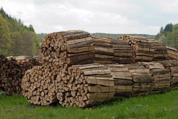 Woodpile — стокове фото