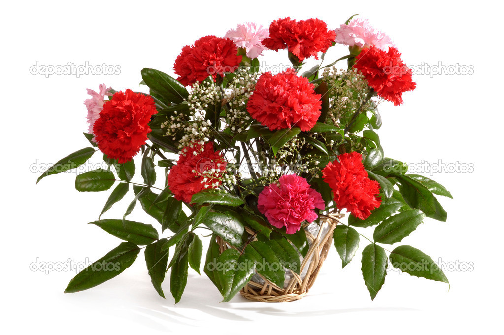 Basket with Red Carnations