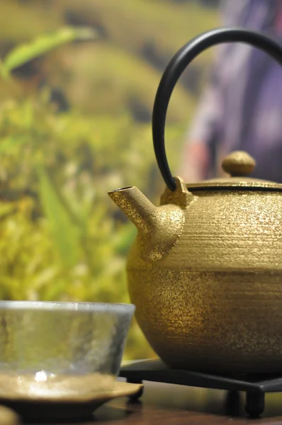 Iron asian teapot — Stock Photo, Image