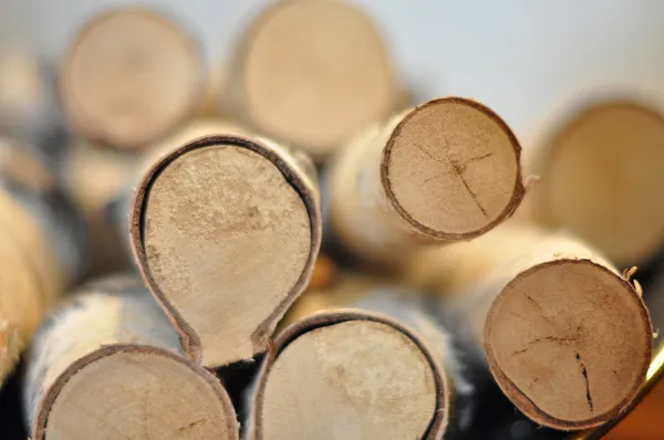 A stack of nature firewood — Stock Photo, Image