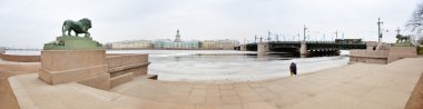 Panoramic view of St. Petersburg clipart