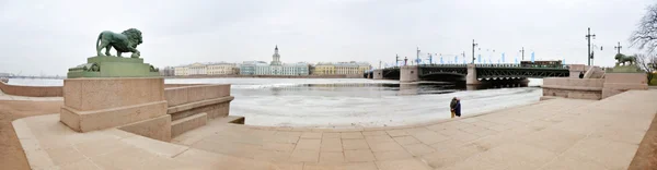 St. Petersburg 'un panoramik manzarası