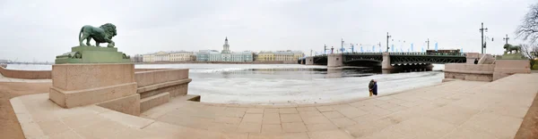 St. Petersburg 'un panoramik manzarası - Stok İmaj