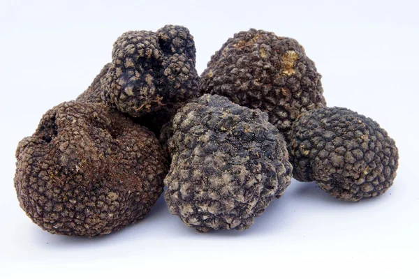 Truffle Stock Photo