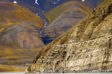 Svalbard